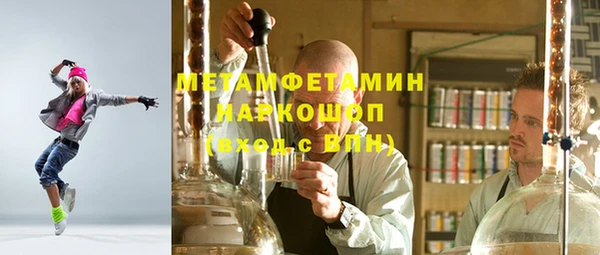 прущие грибы Инта
