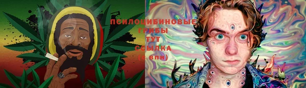 прущие грибы Инта