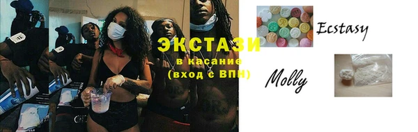 прущие грибы Инта