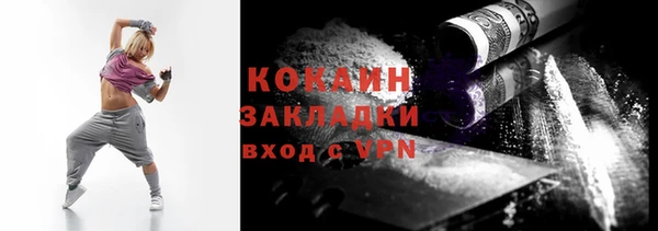 прущие грибы Инта