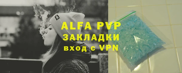 прущие грибы Инта