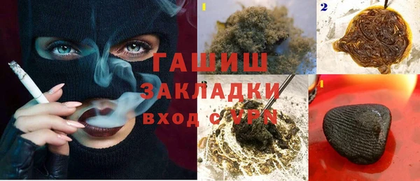 прущие грибы Инта