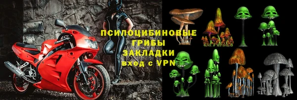 прущие грибы Инта