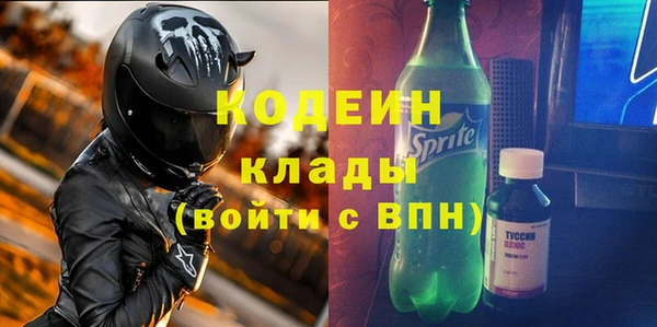 прущие грибы Инта