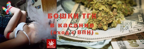 ГАЛЛЮЦИНОГЕННЫЕ ГРИБЫ Иннополис