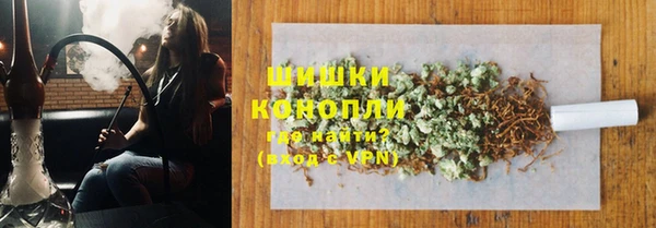 прущие грибы Инта