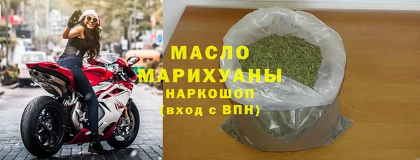 прущие грибы Инта