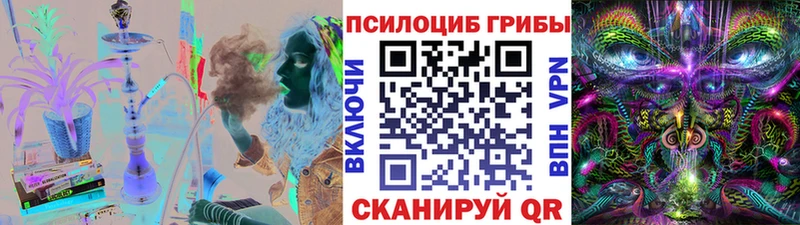 Псилоцибиновые грибы Psilocybine cubensis Купить где Вилючинск